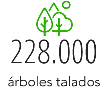212.000 árboles talados